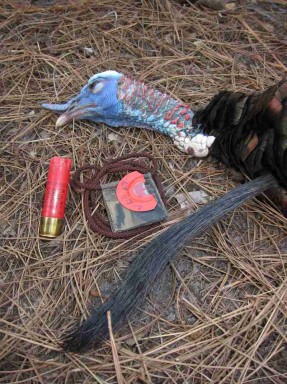 Georgia Eastern 11 inch beard larry Stephens